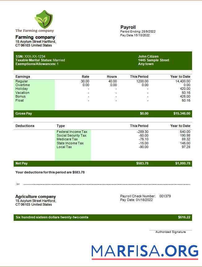 Realistic Farming company editable earning statement sample